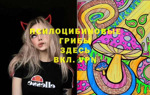 прущие крисы Белокуриха