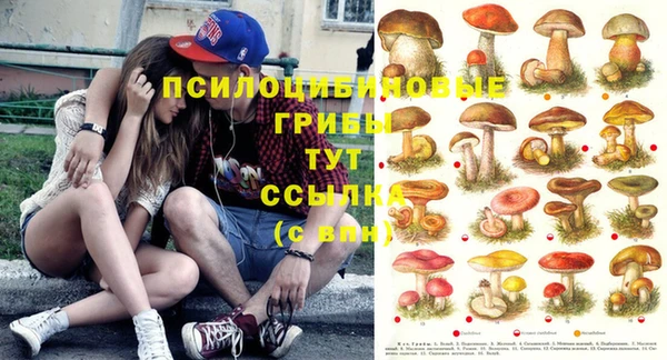 прущая мука Дмитриев